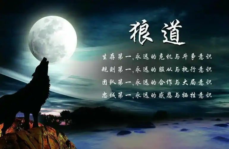 读了鲁德编著的《狼性的精神》一书,对什么是狼性精神有了简单的了解