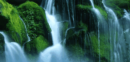 640_308gif 动态图 动图