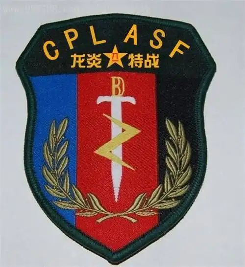 同时也拥有最霸气的名字|特种部队|解放军|龙焱_新浪新闻