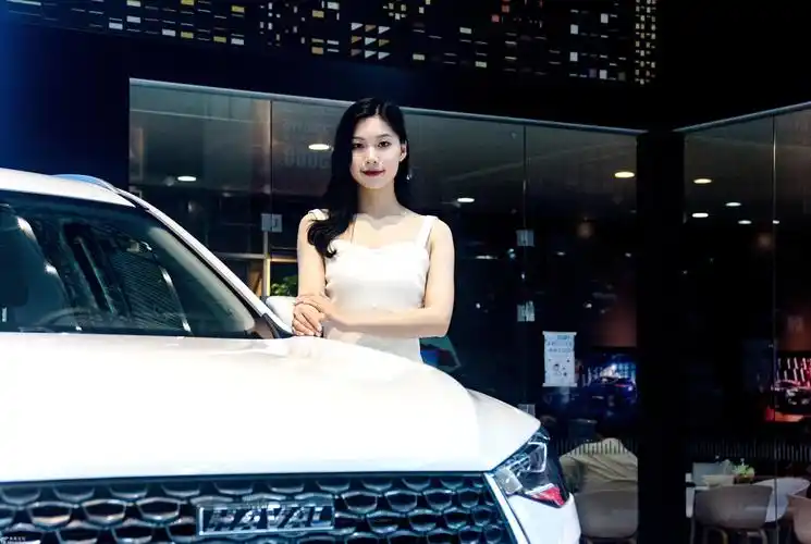 红旗豪车,靓丽车模.