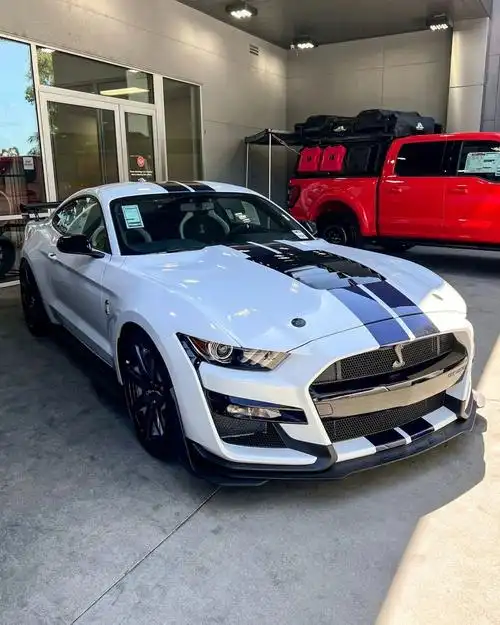 野马谢尔比shelbygt500