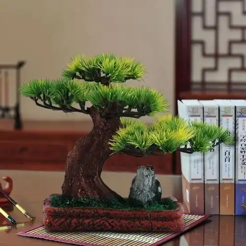 信风水的老板们注意了办公室放这些植物寓意财运滚滚来