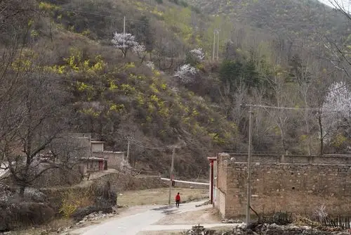 3个小菜4碗面条不收钱山西农村大妈1个小要求很暖心