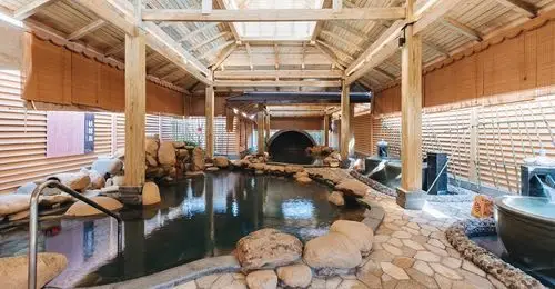 涟泉大江户(上海莘庄店)家庭票(2大1小)(含2大1小,专享)