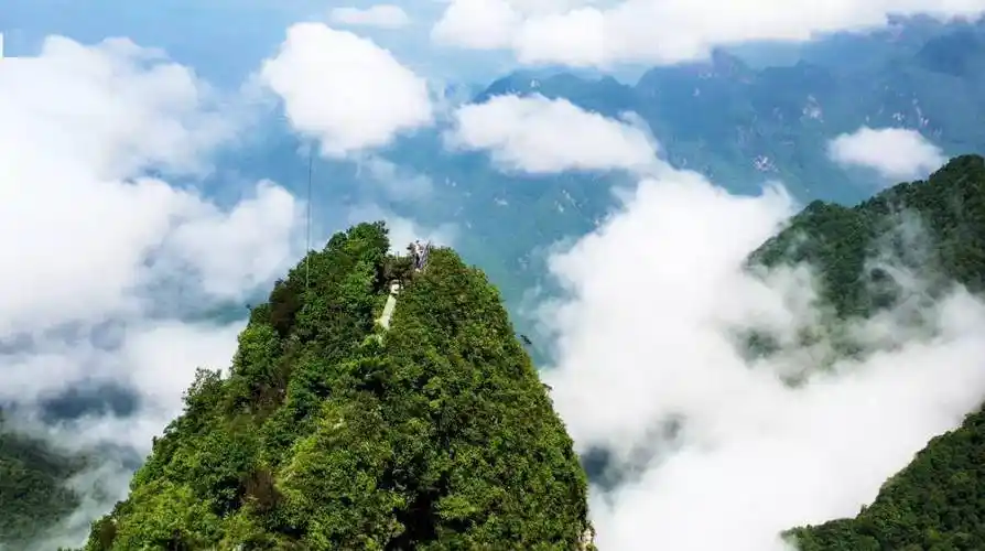 万源打造中国天然氧吧生态金名片