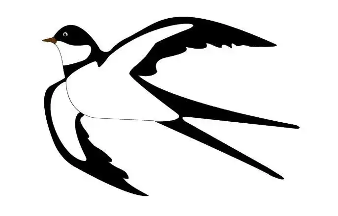 当前位置: 9252儿童网 > 燕子 >