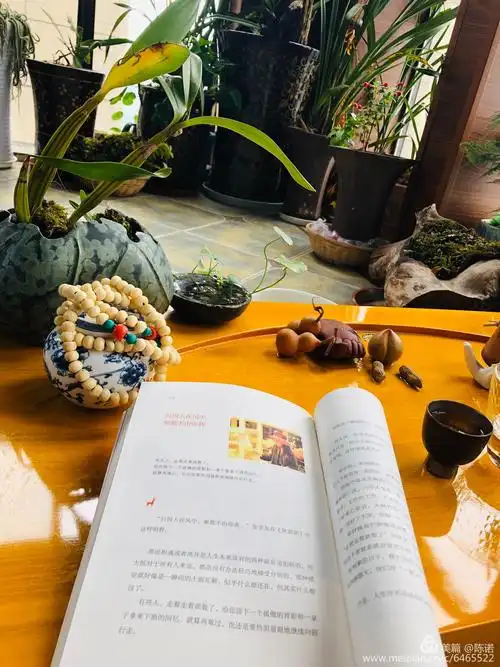 一人一书一茶一首歌