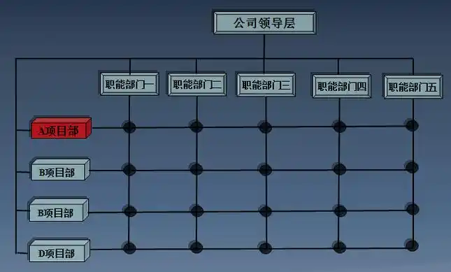 矩阵式企业管理模式下项目部成员两面性示意图
