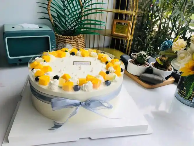 10寸ins简约风生日蛋糕
