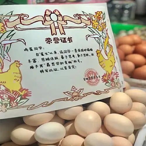 食物荣誉证书武美汐著吃货吐槽开启想像力走进食物小世界解决宝宝挑食