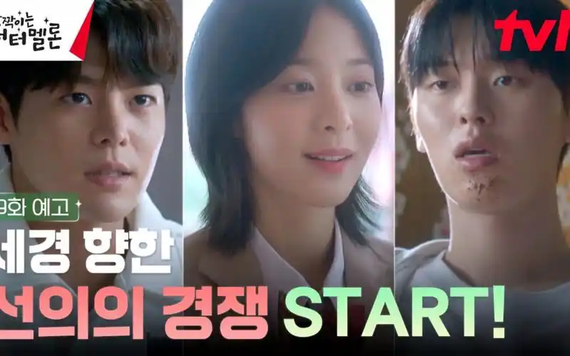 【闪亮的西瓜】第9集预告 - 视频下载 video downloader