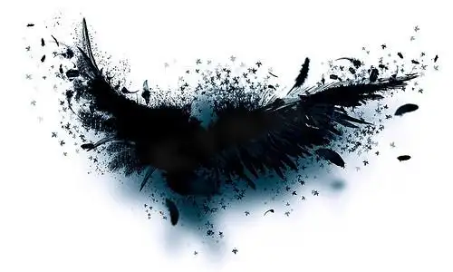 黑色翅膀的神秘绘画花纹