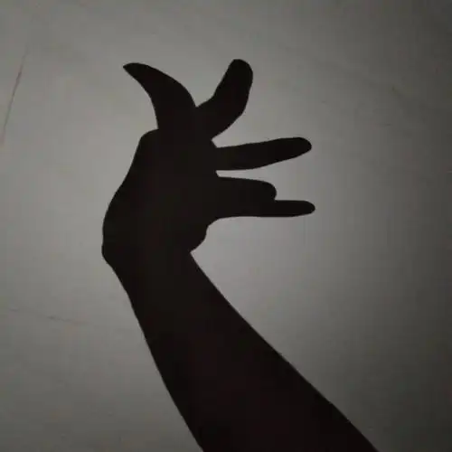 只要有灯光,就可以通过手势的变化,做出兔子,狗,猫等的影子,简单又