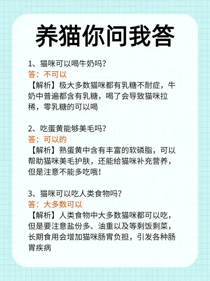 1,猫咪可以喝牛奶吗? 答:不可以 【解析 - 抖音