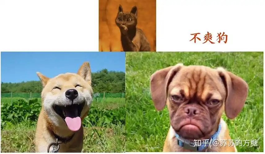 如何控制自己的情绪