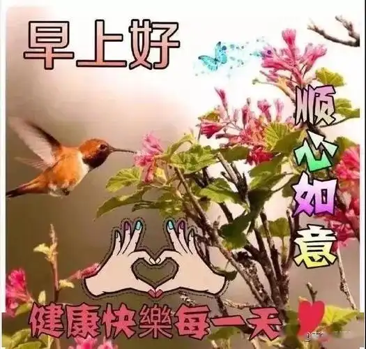 早上好问候语图片带字爱情微信群发漂亮早安图片带字大雨祝福语