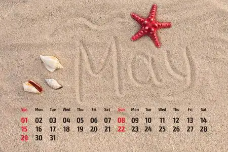 沙滩日特惠海星, 贝壳在沙滩上的照片日历.5 月 20 日照片
