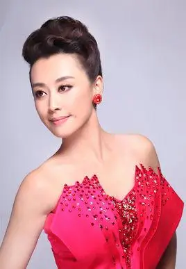 (中央台主持人)