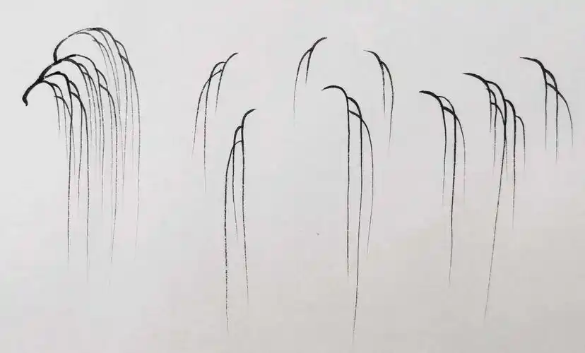 柳树简笔画(柳树怎么画漂亮又简单)-生活常识-7号生活网