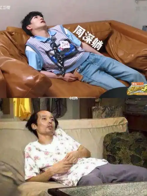 是同一个小可爱吗一个葛优躺一个活力满