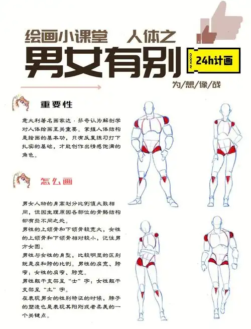 敲黑板16615男女人物的身高划分比例值大致相同,但因生理原因各