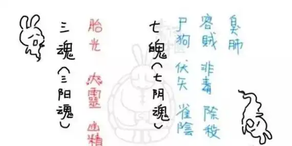 中医讲三魂七魄数数你的都还在吗