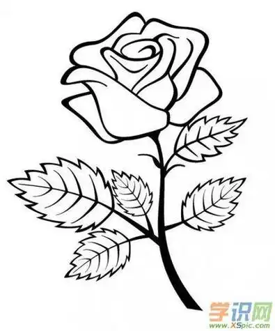 花和草的简笔画