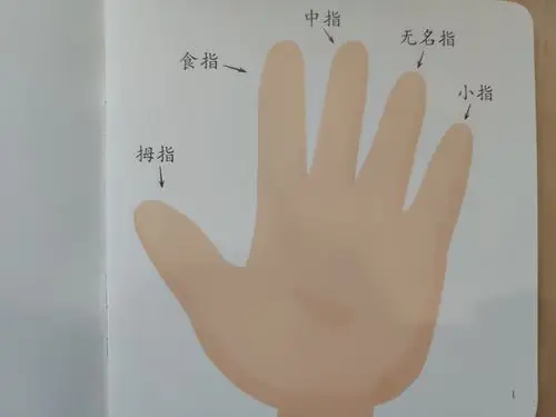 集体阅读《脚趾头起名字》 师幼共读 认识自己手指的名字