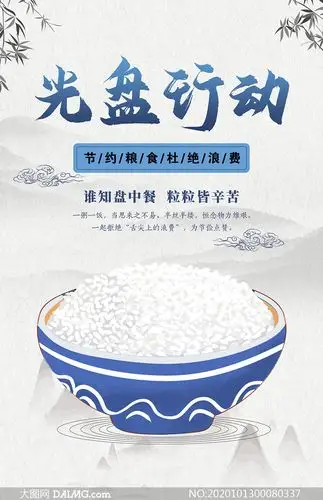 中国风光盘行动公益宣传海报psd素材