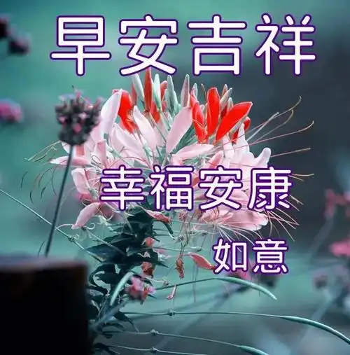 原创2021最新特别好看的早安免打字问候语阳光温馨的早上好问候语图片