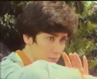 龙凤贼捉贼longfengzeizhuozei(1990)