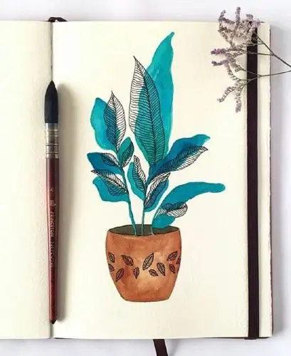 ins画师plantdoodles清新植物手绘水彩画作品67