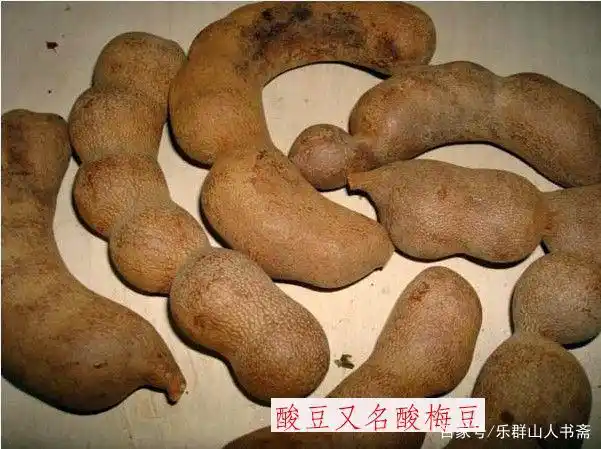 请到海南宝岛来——热带水果尝个遍