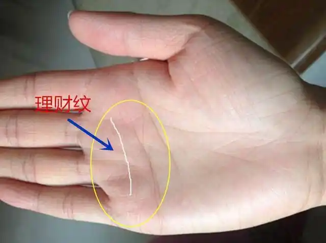 财运非凡一生不缺钱财的手相都有哪些特征呢