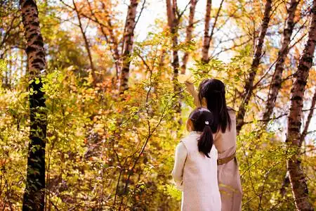 秋季人像背影亲子家庭妈妈女儿摄影图配图