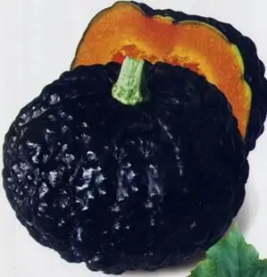 多肉 日本南瓜 蔬菜蔬果特甜黑皮南瓜
