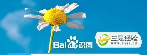 怎样使用百度识图查找图片的出处和来源_三思经验网