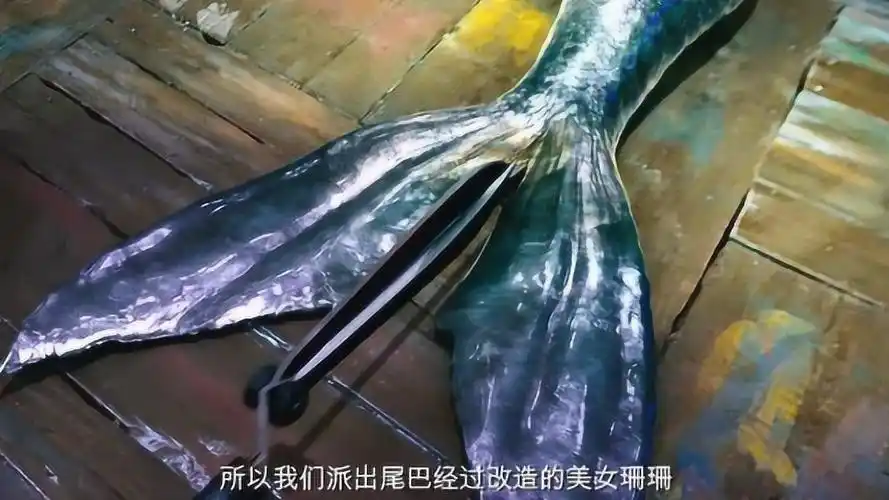 美人鱼原来从美人鱼变成人类竟然这么简单