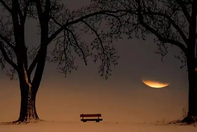 散了为什么没有散了的伤感?