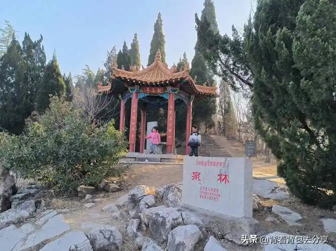 古老泗河的发源地,泗水泉林泉群景区,3月底之前免费,无需购票_旅游