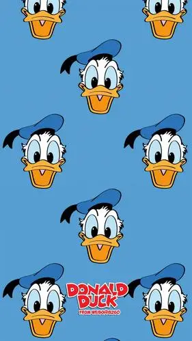 可爱的唐老鸭,高清图片,手机锁屏桌面-壁纸族