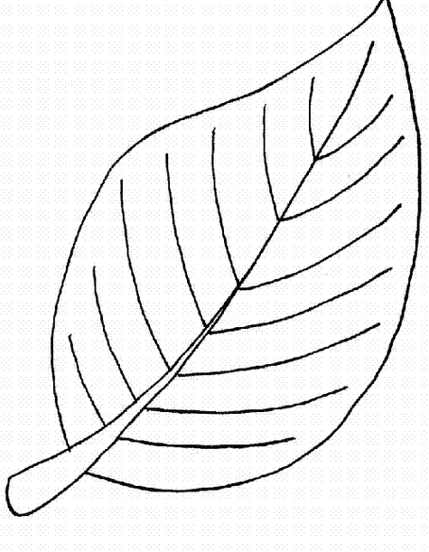 海棠树树叶简笔画