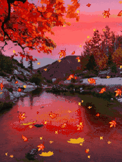 加拿大~枫叶之国