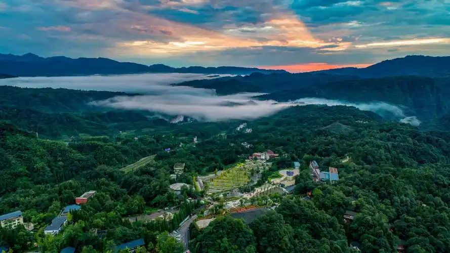 雅安碧峰峡(雅安市国家5a级旅游景区)_摘编百科