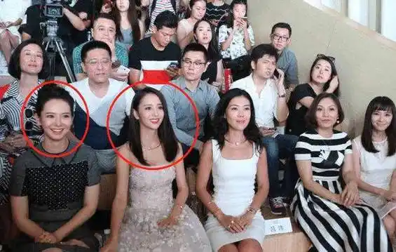 当佟丽娅穿"抹身材裙"和戚薇同台,全明白了_造型_文章_网友