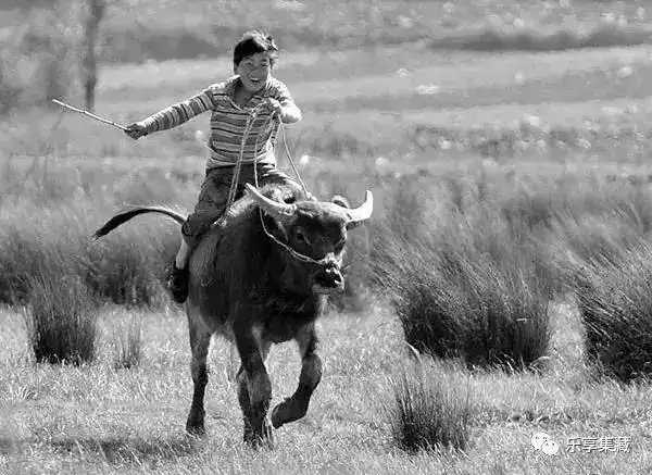 儿童节纪念80后农村孩子童年的记忆