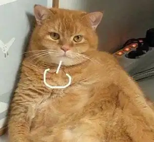 喵星人叹气全员叹气表情包