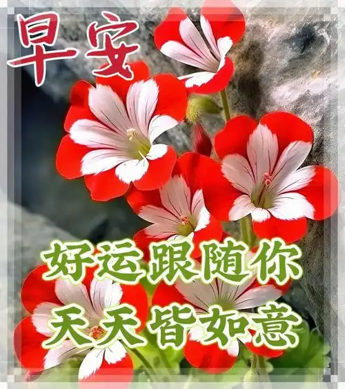 早上好!|快乐|清晨|晨曦|幸福_网易订阅