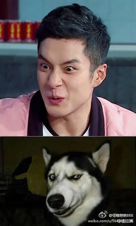 一张偶像演员的脸,做着喜剧演员的事,韩东君妥妥的反差萌!