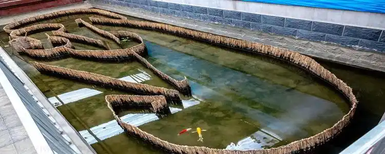 迷魂阵捕鱼网的摆法